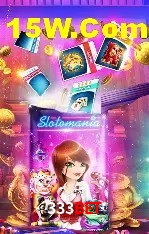 Recursos de Bônus 333bet